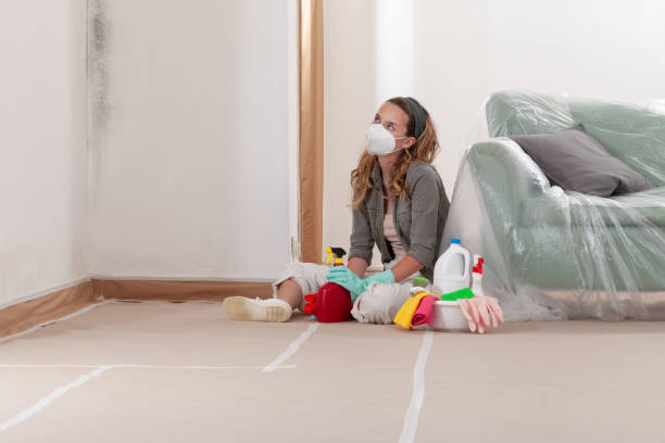 Reliable Mold Remediation contractor in Columbia, KY by WQB Mold Removal